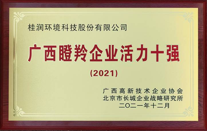 2021年廣西瞪羚企業活力10強.jpg