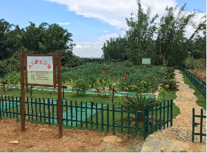 南寧市武鳴區雙橋鎮大塘屯污水處理站